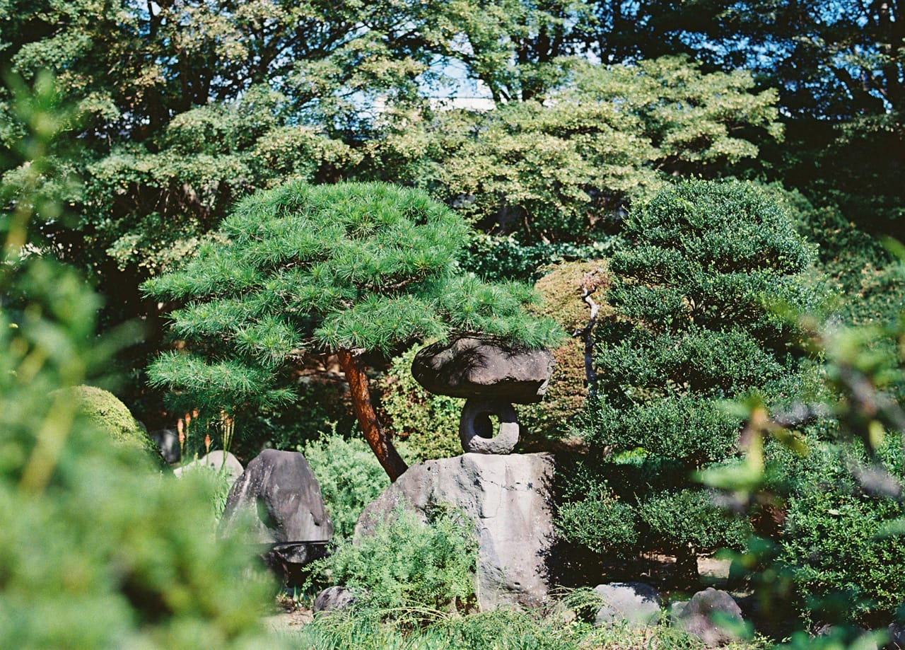 応永から令和へ続く、<br />
まちなかの拠り所。
